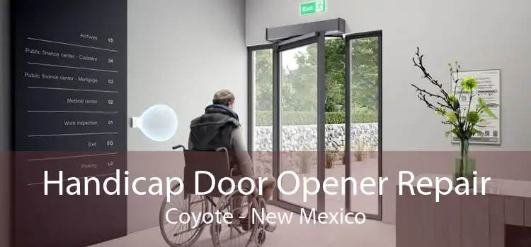 Handicap Door Opener Repair Coyote - New Mexico
