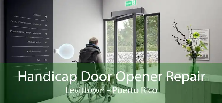 Handicap Door Opener Repair Levittown - Puerto Rico