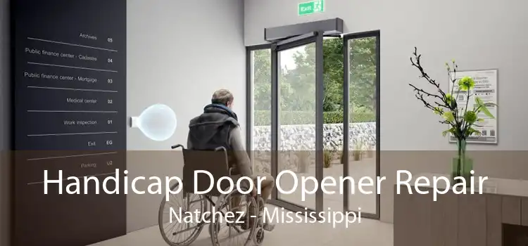 Handicap Door Opener Repair Natchez - Mississippi