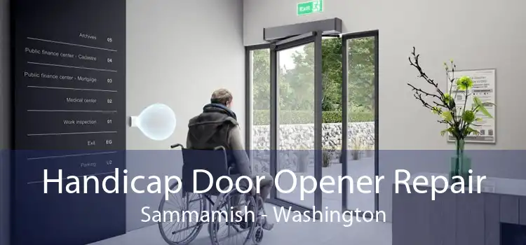 Handicap Door Opener Repair Sammamish - Washington
