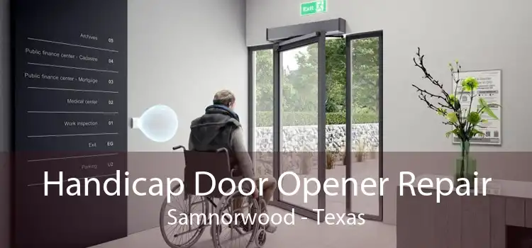 Handicap Door Opener Repair Samnorwood - Texas