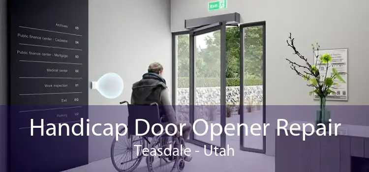 Handicap Door Opener Repair Teasdale - Utah