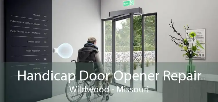 Handicap Door Opener Repair Wildwood - Missouri