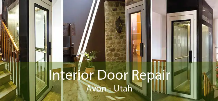Interior Door Repair Avon - Utah