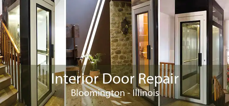 Interior Door Repair Bloomington - Illinois