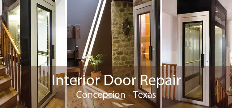Interior Door Repair Concepcion - Texas