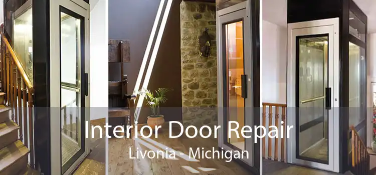 Interior Door Repair Livonia - Michigan