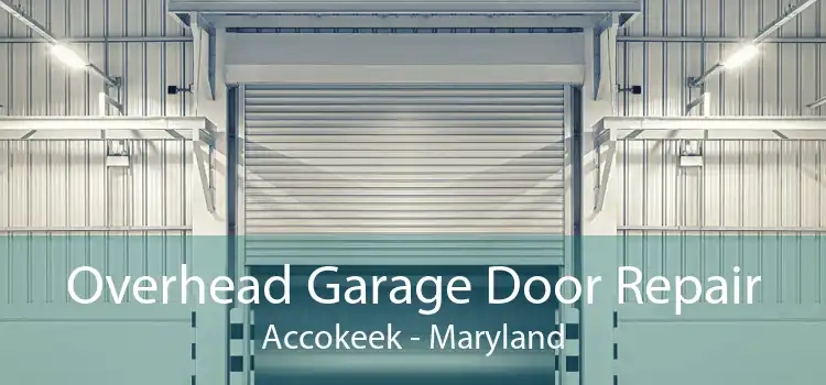 Overhead Garage Door Repair Accokeek - Maryland
