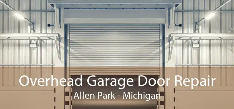 Overhead Garage Door Repair Allen Park - Michigan