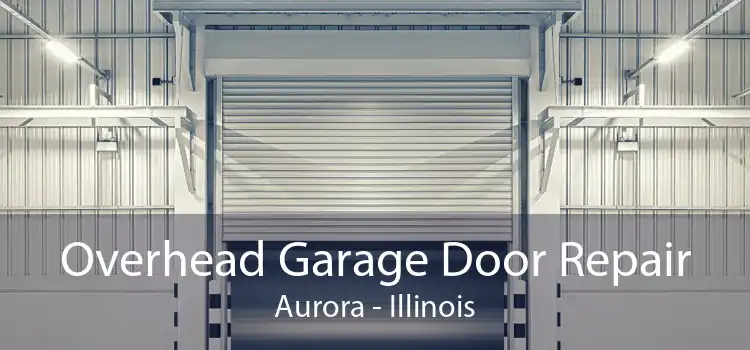 Overhead Garage Door Repair Aurora - Illinois