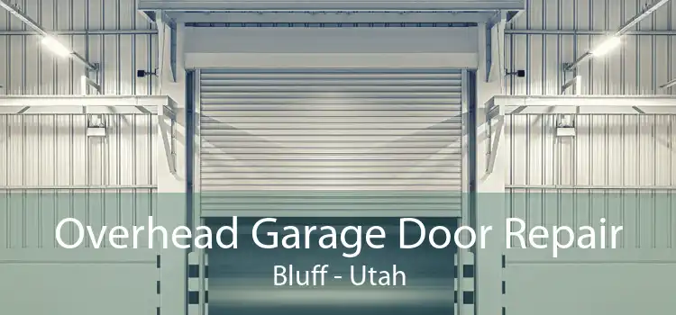 Overhead Garage Door Repair Bluff - Utah