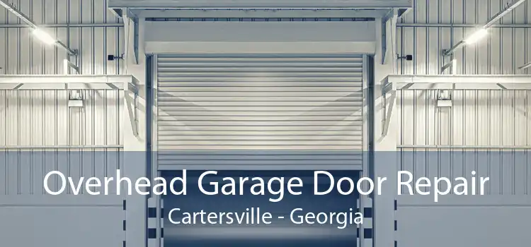 Overhead Garage Door Repair Cartersville - Georgia