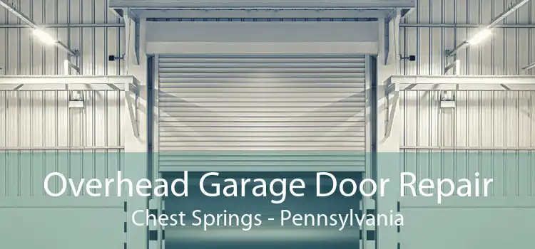 Overhead Garage Door Repair Chest Springs - Pennsylvania