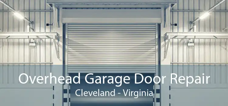 Overhead Garage Door Repair Cleveland - Virginia