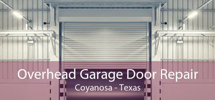 Overhead Garage Door Repair Coyanosa - Texas