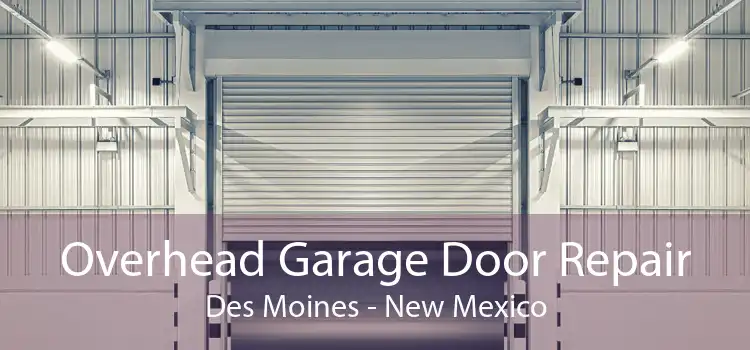 Overhead Garage Door Repair Des Moines - New Mexico