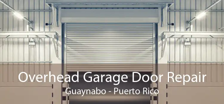 Overhead Garage Door Repair Guaynabo - Puerto Rico