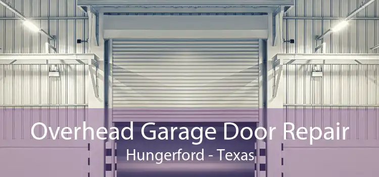 Overhead Garage Door Repair Hungerford - Texas