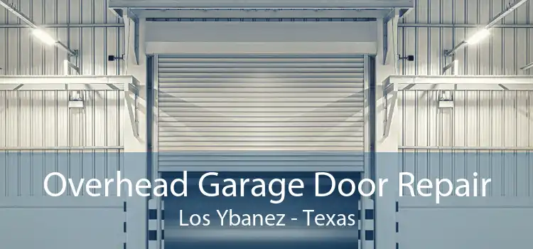 Overhead Garage Door Repair Los Ybanez - Texas