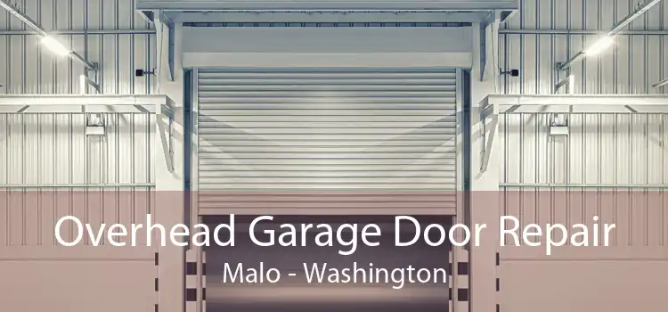 Overhead Garage Door Repair Malo - Washington