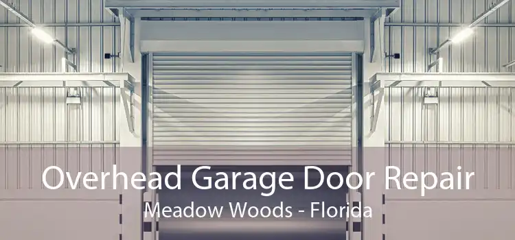 Overhead Garage Door Repair Meadow Woods - Florida