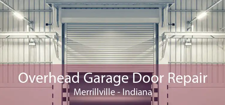 Overhead Garage Door Repair Merrillville - Indiana