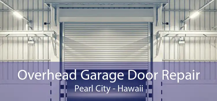 Overhead Garage Door Repair Pearl City - Hawaii