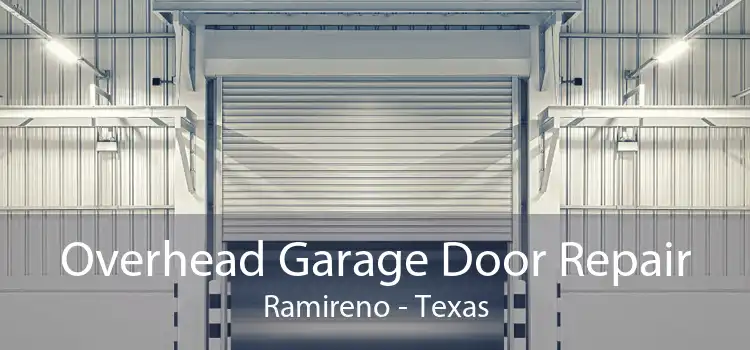 Overhead Garage Door Repair Ramireno - Texas