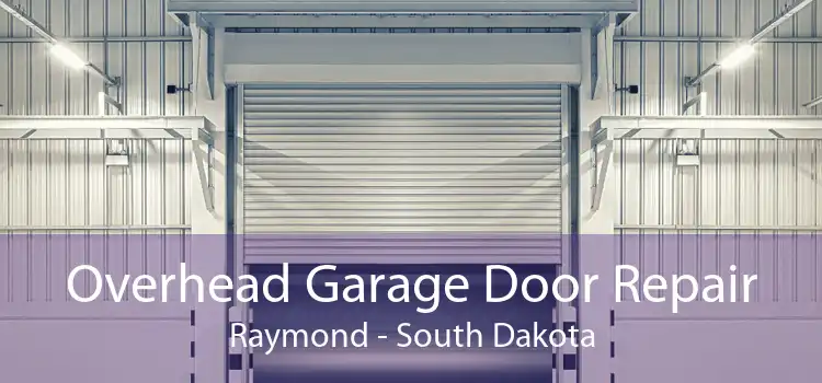 Overhead Garage Door Repair Raymond - South Dakota