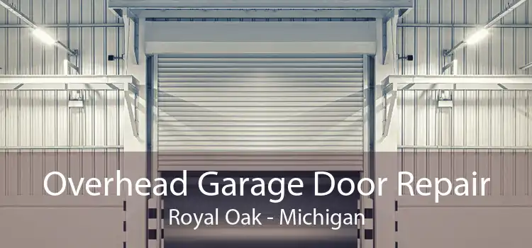 Overhead Garage Door Repair Royal Oak - Michigan