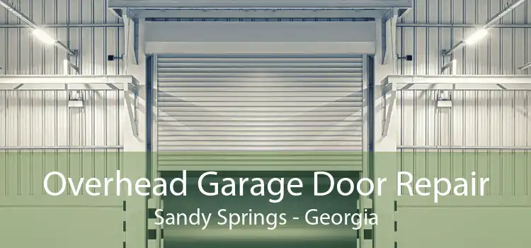 Overhead Garage Door Repair Sandy Springs - Georgia