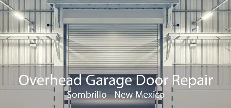 Overhead Garage Door Repair Sombrillo - New Mexico
