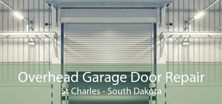 Overhead Garage Door Repair St Charles - South Dakota