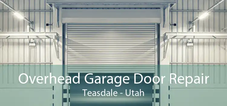 Overhead Garage Door Repair Teasdale - Utah