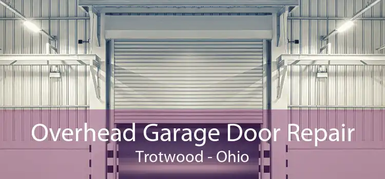 Overhead Garage Door Repair Trotwood - Ohio