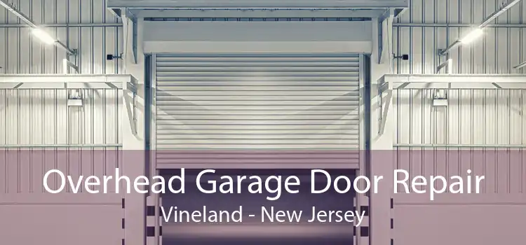 Overhead Garage Door Repair Vineland - New Jersey