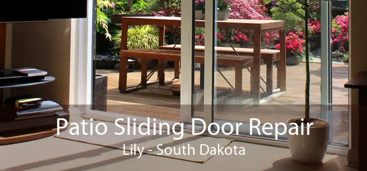Patio Sliding Door Repair Lily - South Dakota