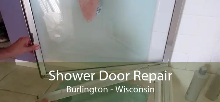 Shower Door Repair Burlington - Wisconsin