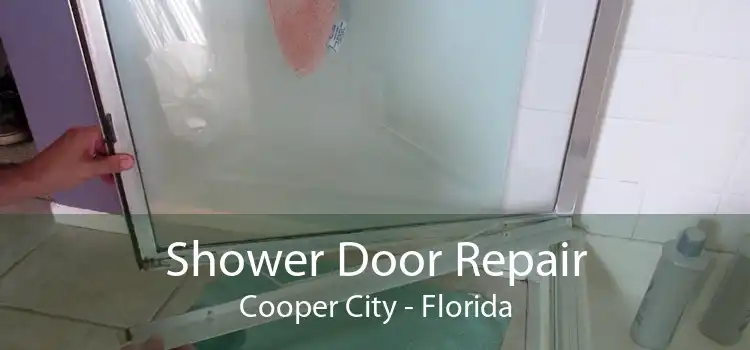 Shower Door Repair Cooper City - Florida
