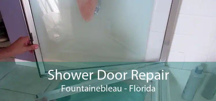 Shower Door Repair Fountainebleau - Florida