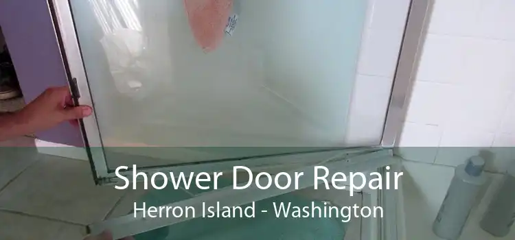 Shower Door Repair Herron Island - Washington