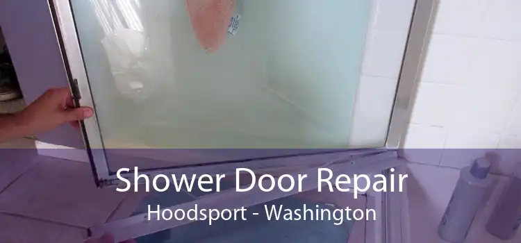 Shower Door Repair Hoodsport - Washington