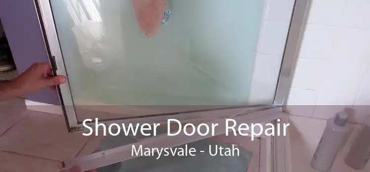 Shower Door Repair Marysvale - Utah