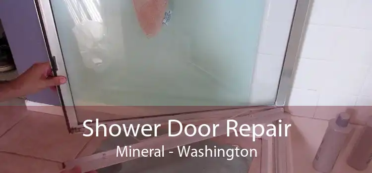 Shower Door Repair Mineral - Washington