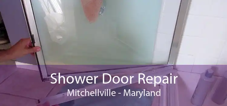 Shower Door Repair Mitchellville - Maryland