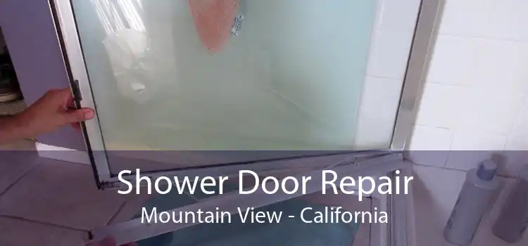 Shower Door Repair Mountain View - California