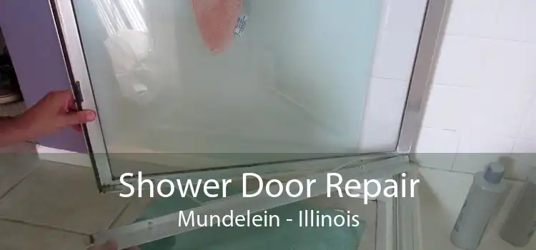 Shower Door Repair Mundelein - Illinois