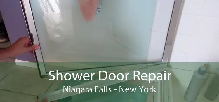 Shower Door Repair Niagara Falls - New York