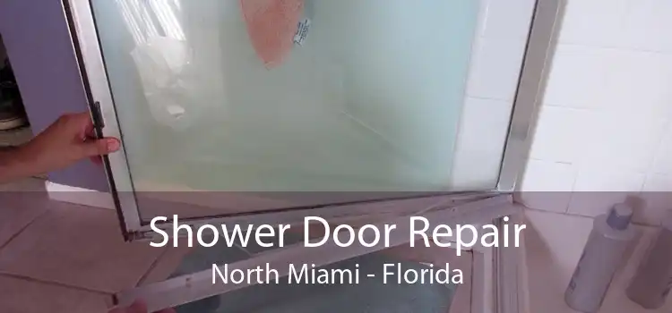 Shower Door Repair North Miami - Florida