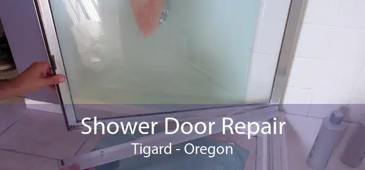 Shower Door Repair Tigard - Oregon